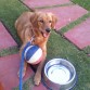 ME GUSTA LA PELOTA 